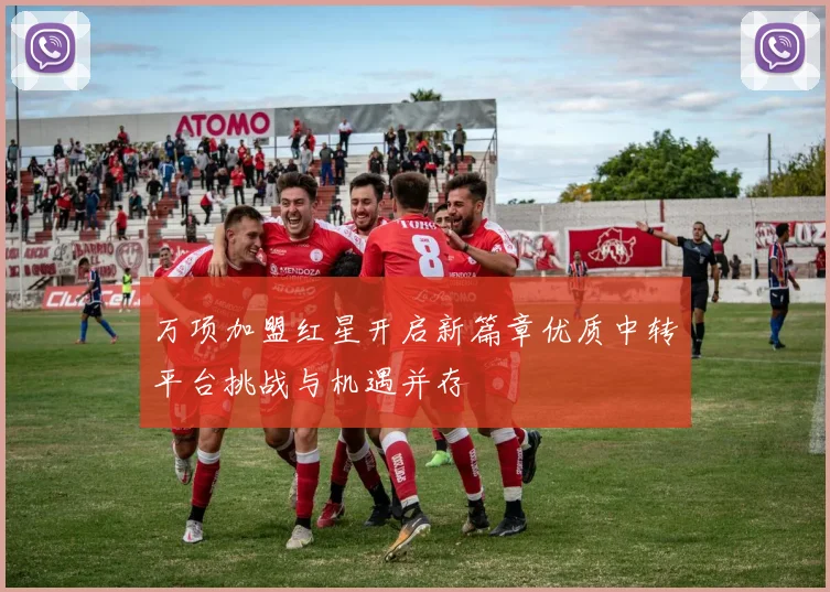 万项加盟红星开启新篇章优质中转平台挑战与机遇并存